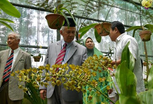 SK02_14032019_TAMAN_ORKID_BN20190316358