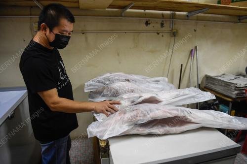 IKAN EMPURAU SARAWAK