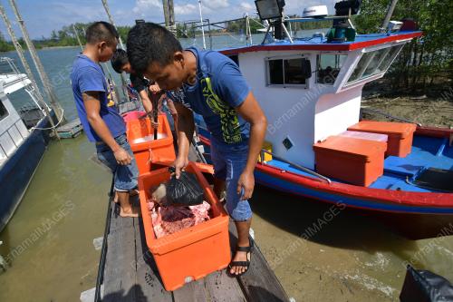 SK02_15032019_PANCING_BN201903143436