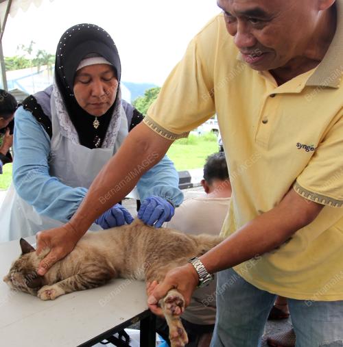 SK02_15072017_CEGAH_ANJING_GILA_BN201707149675