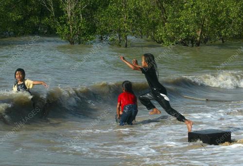 MANDI_LAUT