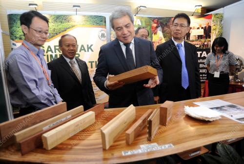 SK02_18042015_SARAWAK_TIMBER