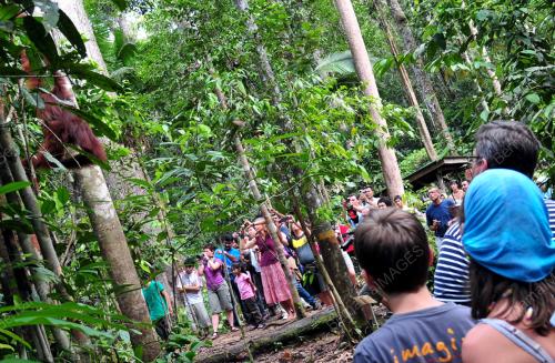 HUTAN SEMENGGOH