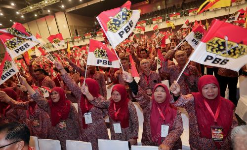 PERWAKILAN PARTI PESAKA BUMIPUTERA BERSATU