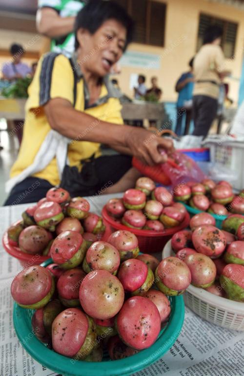 BUAH ENGKALA