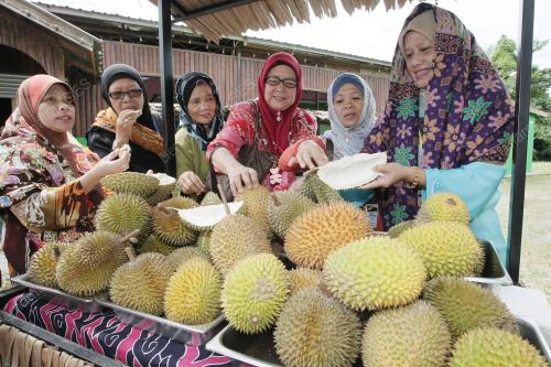 SK02_20122014_HOMESTAY