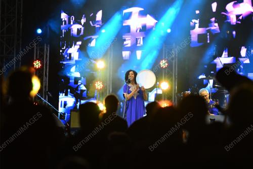 RAINFOREST WORLD MUSIC FESTIVAL (RWMF) 2025