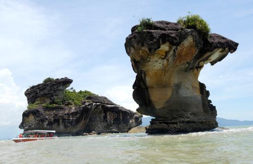 TAMAN NASIONAL BAKO