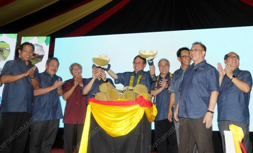 SK02_22119_AGROFEST_BN201911218453_22112019