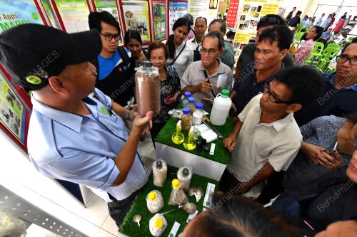 SK02_24022018_CENDAWAN_BN201802239841