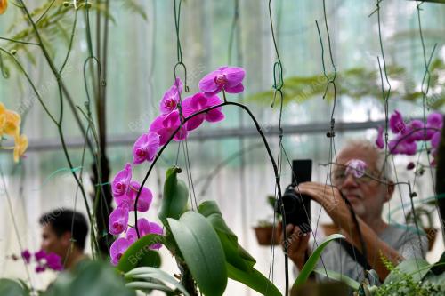 SK02_27032019_TAMAN_ORKID_BORNEO