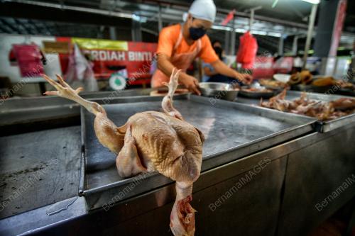 HARGA_AYAM