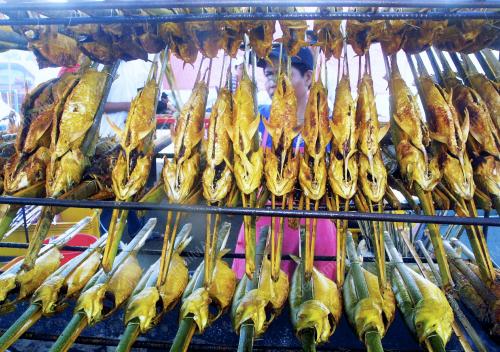 SK02_27072012_IKAN_TERUBUK