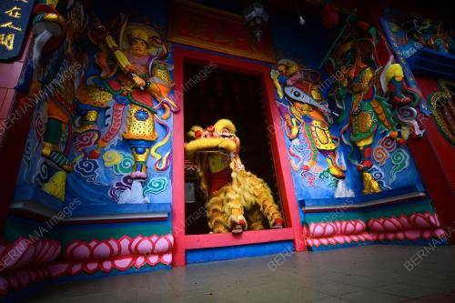 TARIAN SINGA