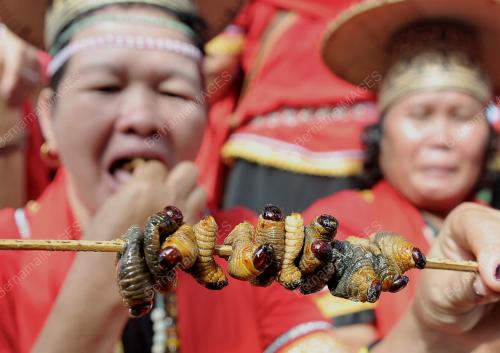 SK02_29062013_ULAT_MULUNG