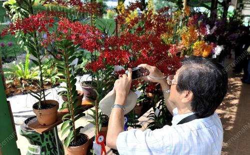 PAMERAN ORKID ANTARABANGSA 2011