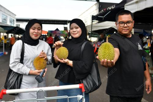 MUSIM DURIAN