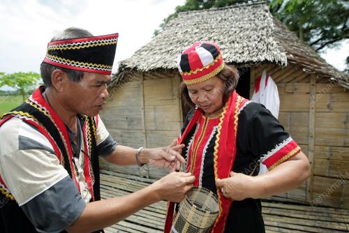 SK02_31052014_GAWAI_DAYAK