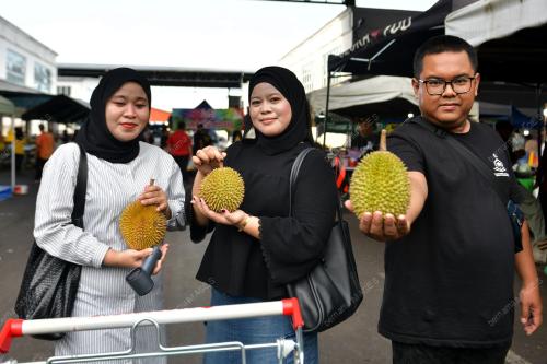 MUSIM DURIAN