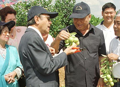 BUAH LIMAU