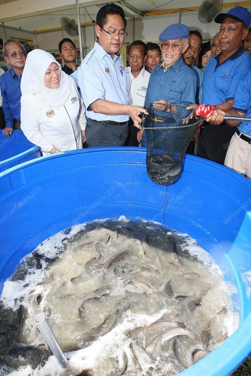 ABDUL TAIB MAHMUD