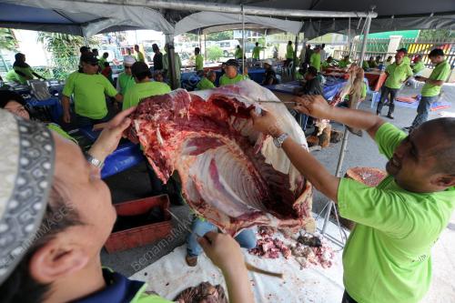 SK03_06102014_KORBAN_TAKAFUL