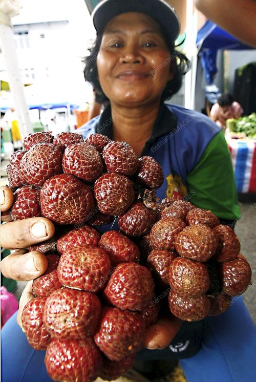 ASAM PAYA