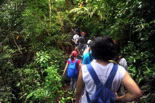 TAMAN NEGARA BAKO