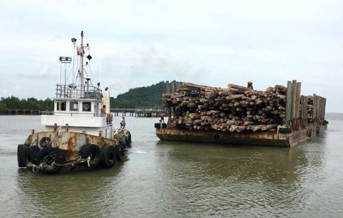 SK03_08022017_KAYU_BALAK