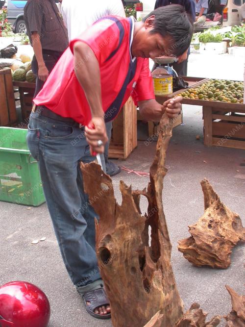 PENIAGA KAYU BELIAN