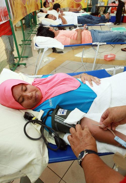 DERMA DARAH