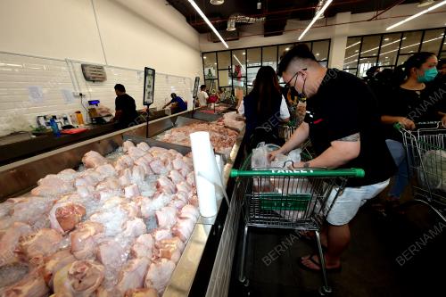 HARGA AYAM