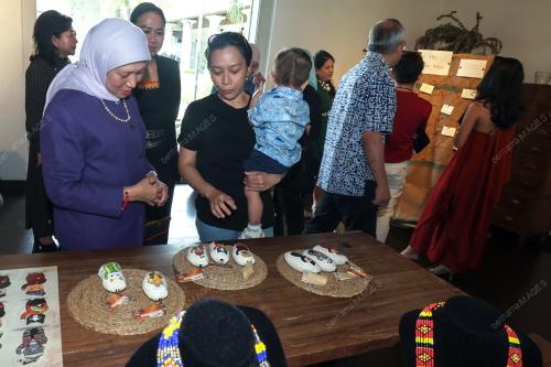 DATUK SERI NANCY SHUKRI