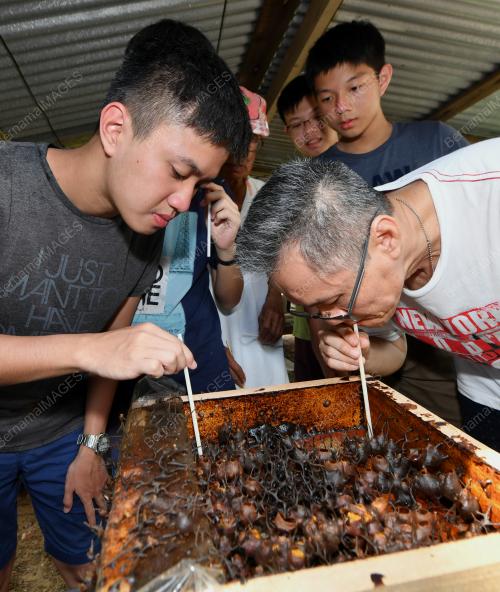 PELANCONG DOMESTIK
