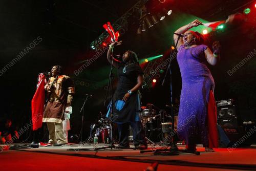 FESTIVAL MUZIK