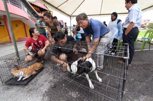SK03_15072017_CEGAH_ANJING_GILA_BN201707149675