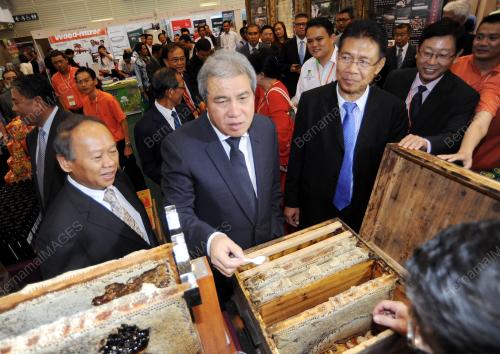 SK03_18042015_SARAWAK_TIMBER