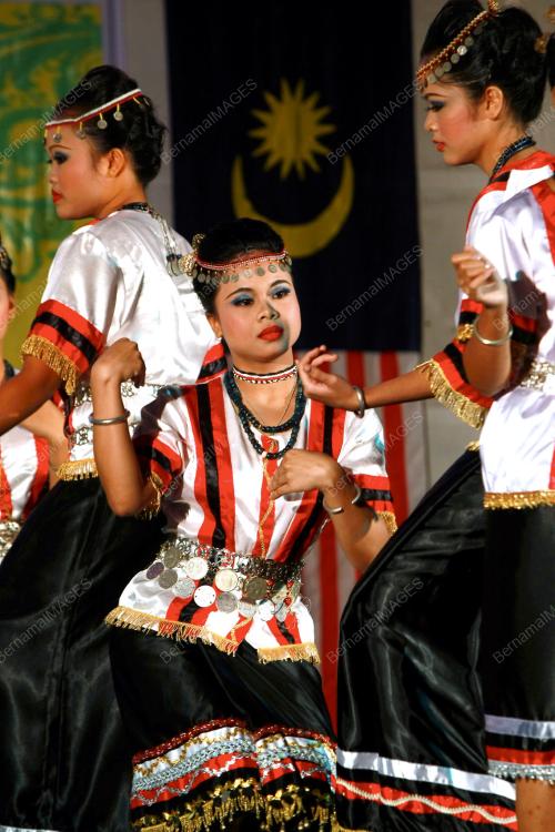 MERAKYATKAN SENI 1MALAYSIA