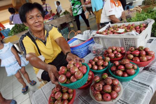 BUAH ENGKALA