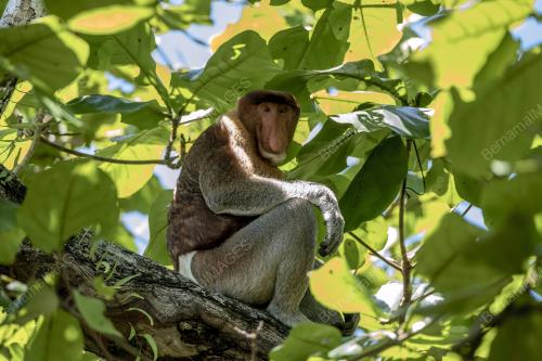 SK03_19062019_TAMAN_NEGARA