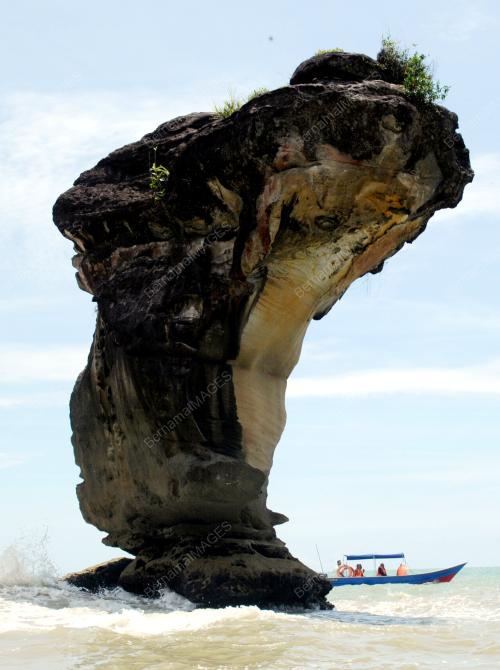 TAMAN NASIONAL BAKO