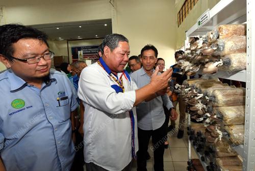 SK03_24022018_CENDAWAN_BN201802239841