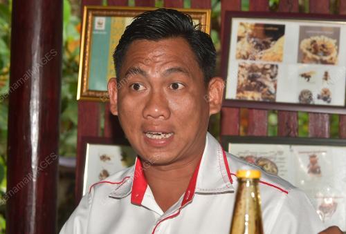 MOHAMAD ALUIS HAMRI