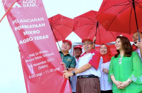 SK03_25112017_AGRO_TERAS_BN201711242460