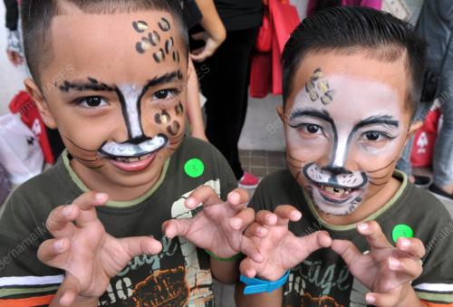 SK03_28112016_KUCING