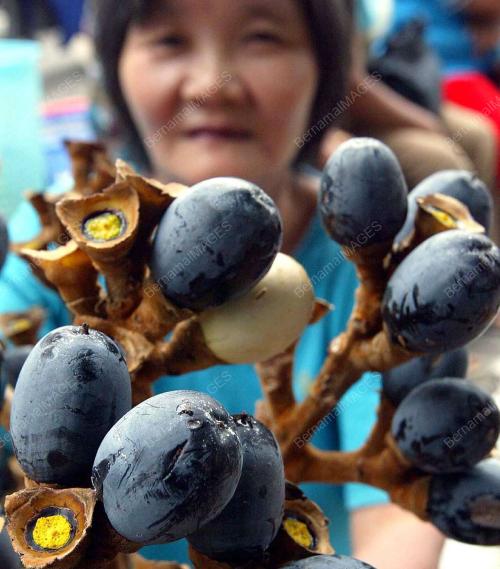 BUAH_DABAI