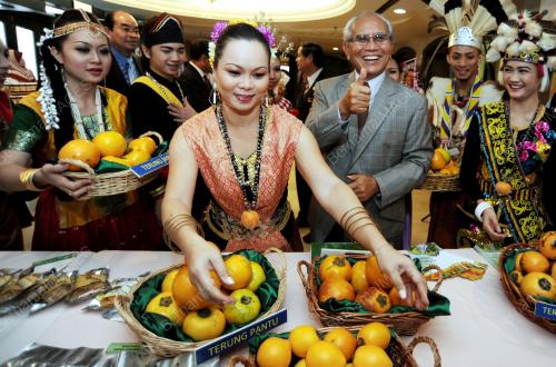 SK03_29112013_TERUNG