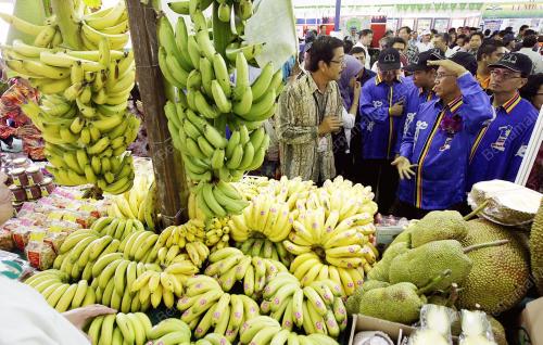 HARI PELADANAG, PENTERNAK DAN NELAYAN 2010