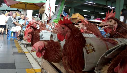 SK04_02052018_PASAR_SENTRAL_SIBU