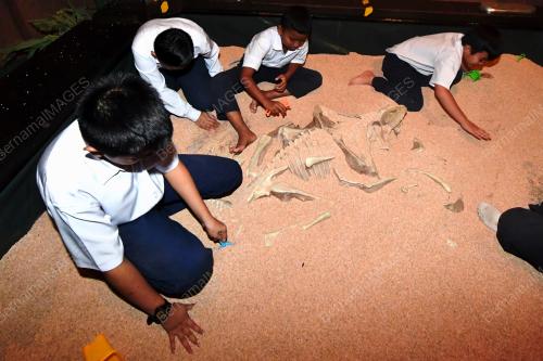 SK04_07052018_PETROSAINS_DINOTREK_BN201805067891